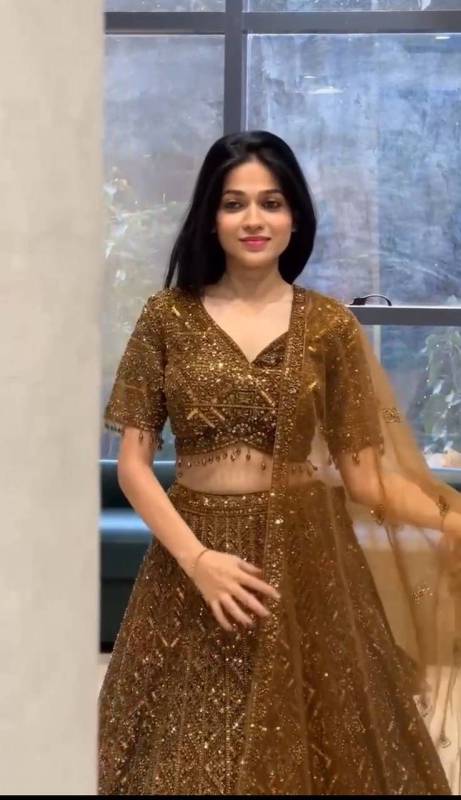 Butterfly Net Sequence Work Lehenga Choli Set