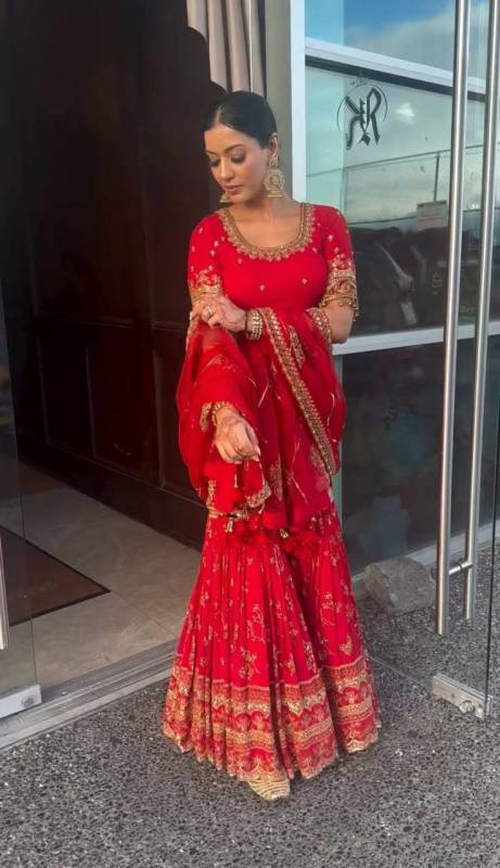 Party Wear Look Top , Sharara Plazzo and Dupatta